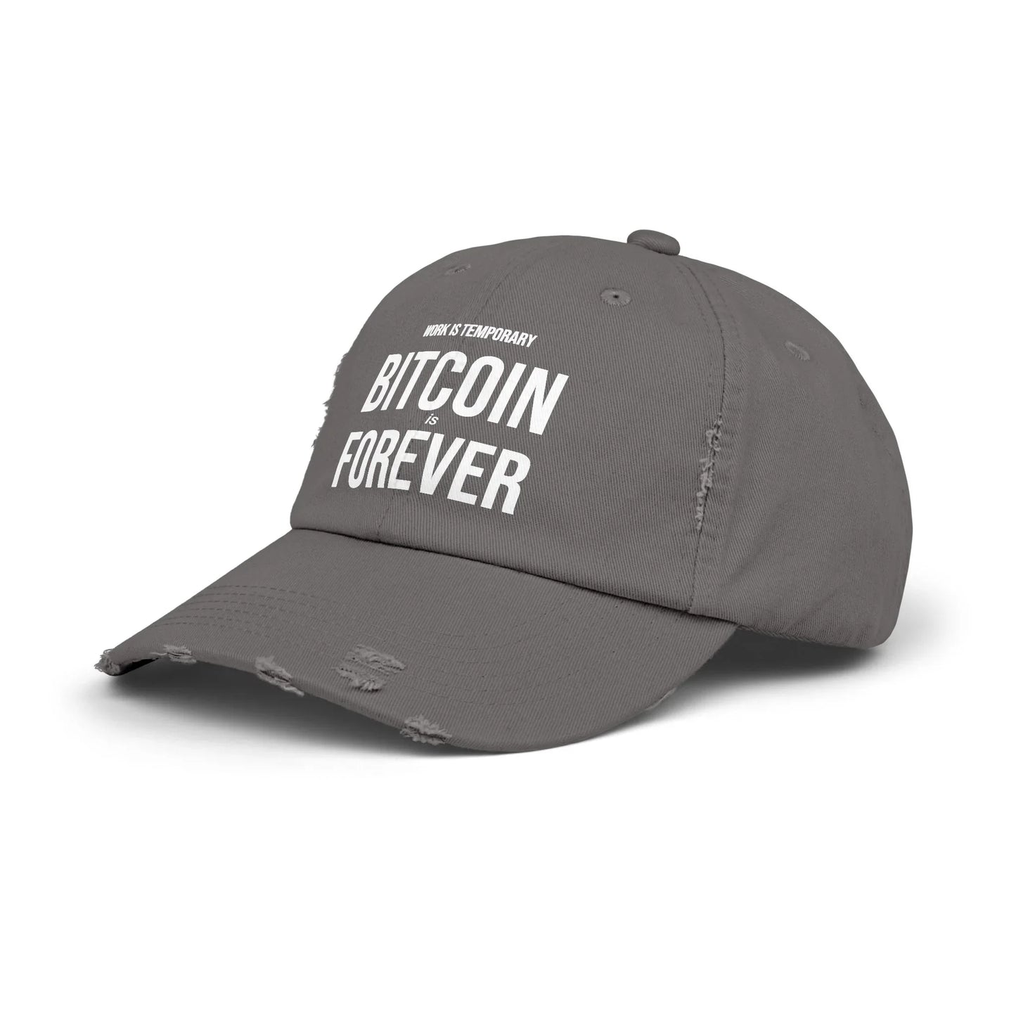 Work is Temporary Bitcoin is Forever - Cap Hats crypto-vibes.com